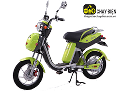 Xe đạp điện Nijia Dibao Eco Xe đạp điện Nijia Dibao Eco