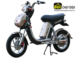 Xe đạp điện Nijia Dibao Xe đạp điện Nijia Dibao