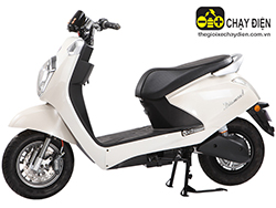 Xe m&aacute;y điện Autosun Diamond