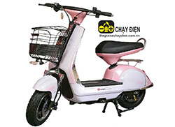 Xe máy điện Tenbike Candy Xe máy điện Tenbike Candy