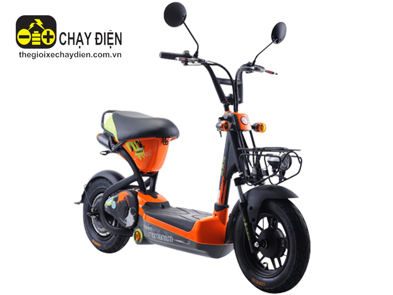 Xe đạp điện niềm đam mê tốc độ Xe đạp điện niềm đam mê tốc độ