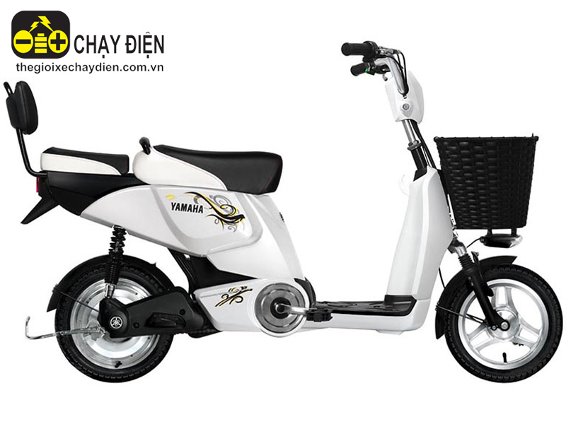 Xe đạp điện niềm đam mê tốc độ Xe đạp điện niềm đam mê tốc độ