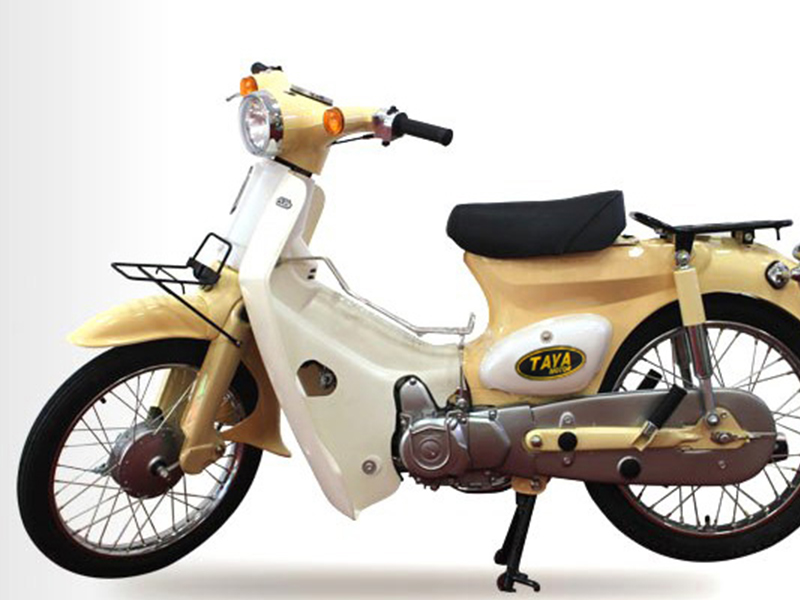 Ắc quy xe Cub Taya tại Lâm Đồng giá rẻ Ắc quy xe Cub Taya tại Lâm Đồng