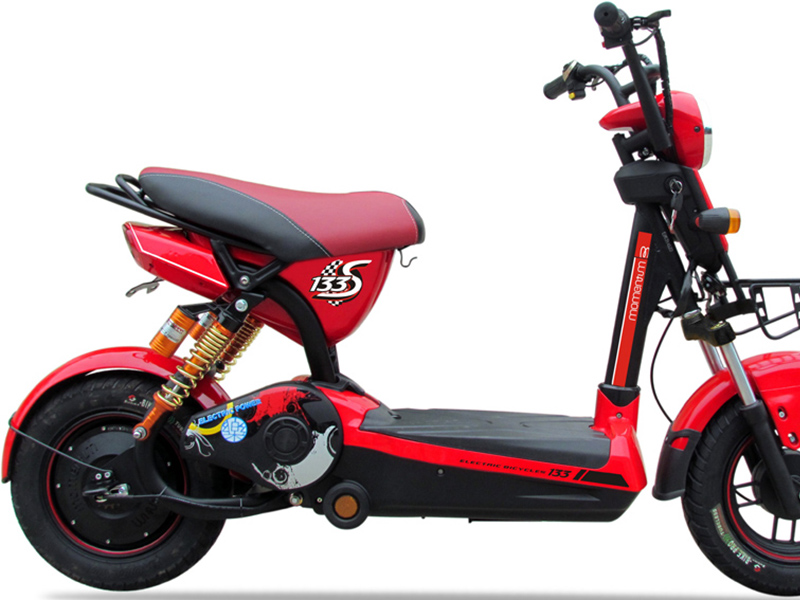 Phụ tùng xe máy điện Sufat 133X8