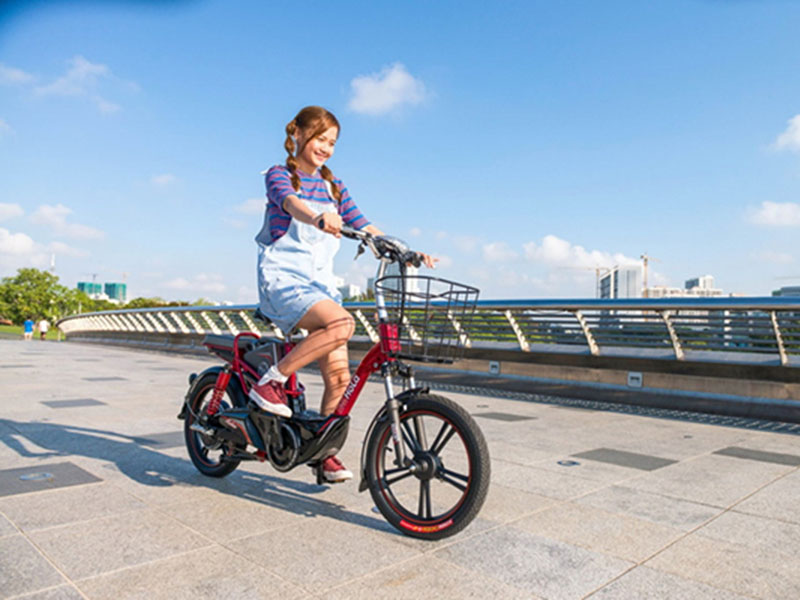 Xe đạp điện Hola tại Dak Lak giá rẻ Xe đạp điện Hola tại Dak Lak