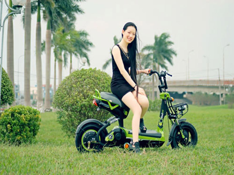 Ắc quy xe đạp điện hãng Giant chất lượng Ắc quy xe đạp điện hãng Giant
