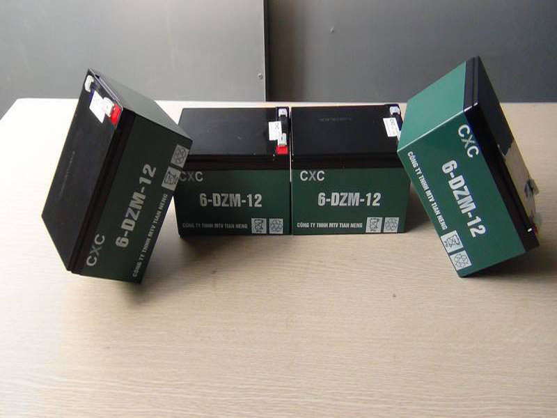 Ắc quy xe đạp điện hãng thể thao giá rẻ Ắc quy xe đạp điện hãng thể thao