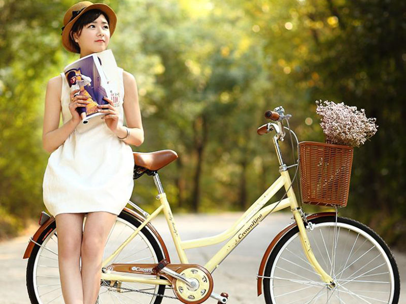 Bán sỉ phụ tùng xe đạp tại Bình Dương giá rẻ Bán sỉ phụ tùng xe đạp tại Bình Dương