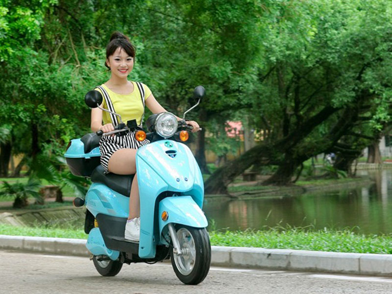 Phụ tùng xe máy điện hãng VPIC chất lượng Phụ tùng xe máy điện hãng VPIC