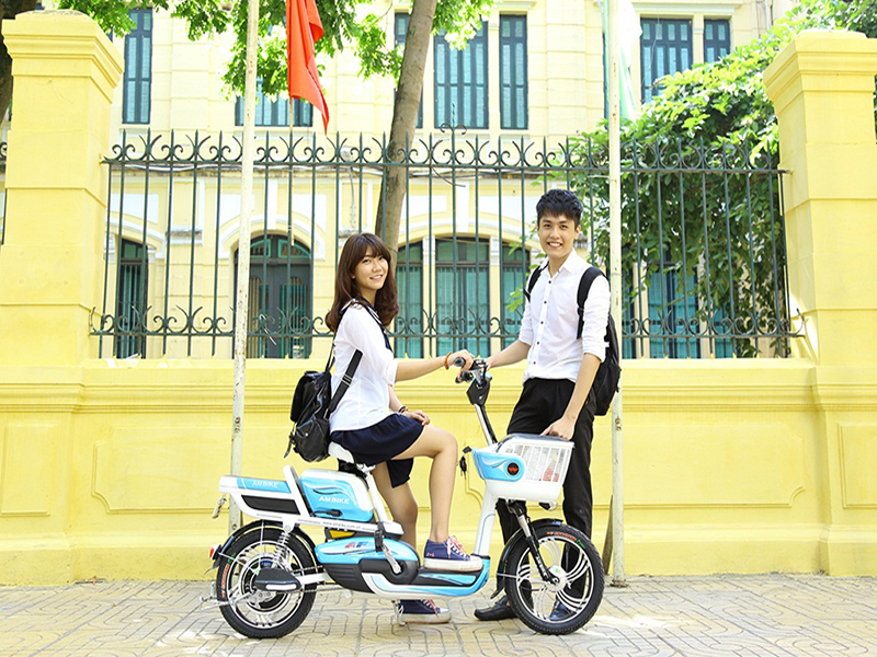 Phụ tùng xe đạp điện hãng Việt Nhật giá rẻ Phụ tùng xe đạp điện hãng Việt Nhật