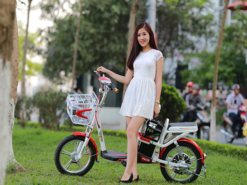 Bán sỉ phụ tùng xe đạp điện tại Hải Phòng chất lượng Bán sỉ phụ tùng xe đạp điện tại Hải Phòng
