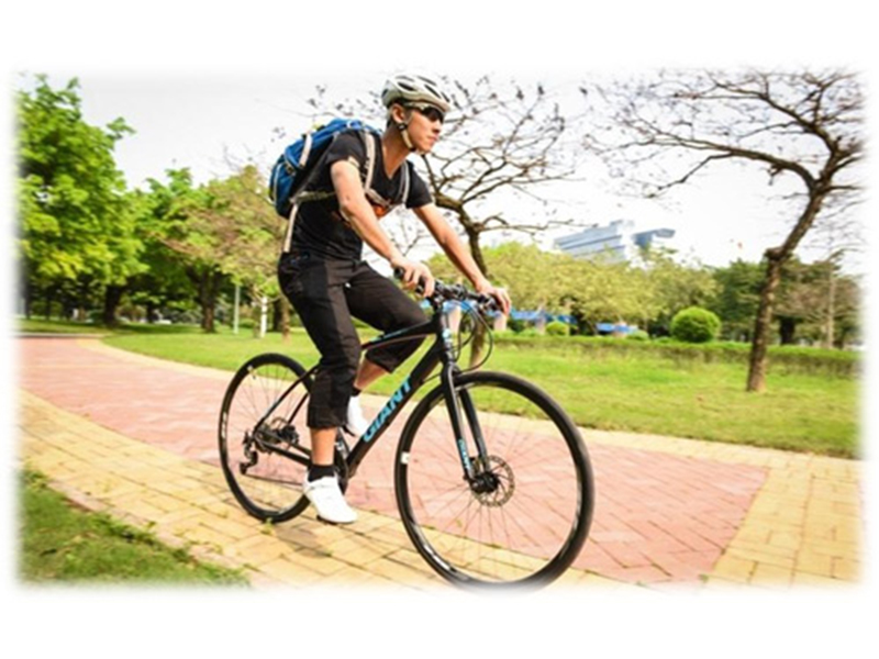 Bán sỉ phụ tùng xe đạp tại Bến Tre uy tín Bán sỉ phụ tùng xe đạp tại Bến Tre