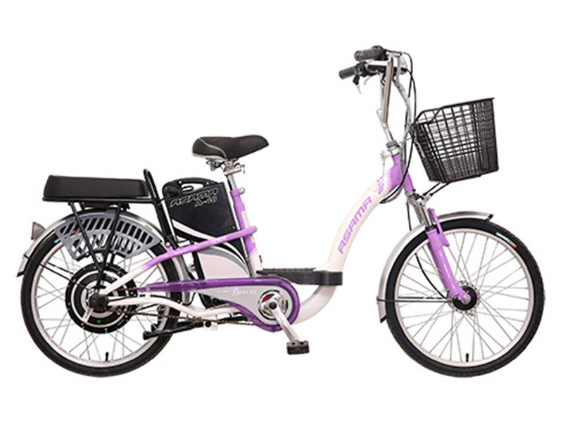 Xe đạp điện Asista Bmm tại Bắc Ninh giá rẻ Xe đạp điện Asista Bmm tại Bắc Ninh