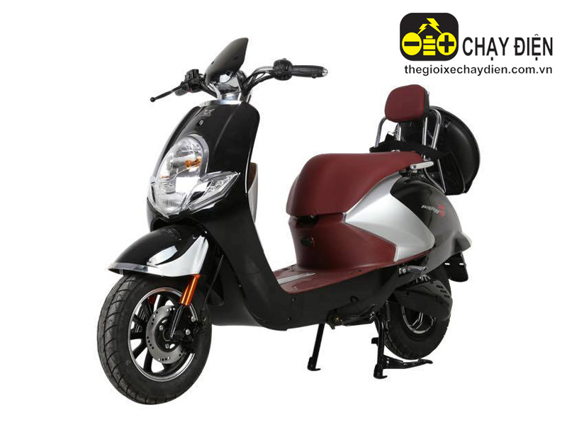 Ắc quy xe máy điện Pretty 966 Zongshen giá rẻ Ắc quy xe máy điện Pretty 966 Zongshen