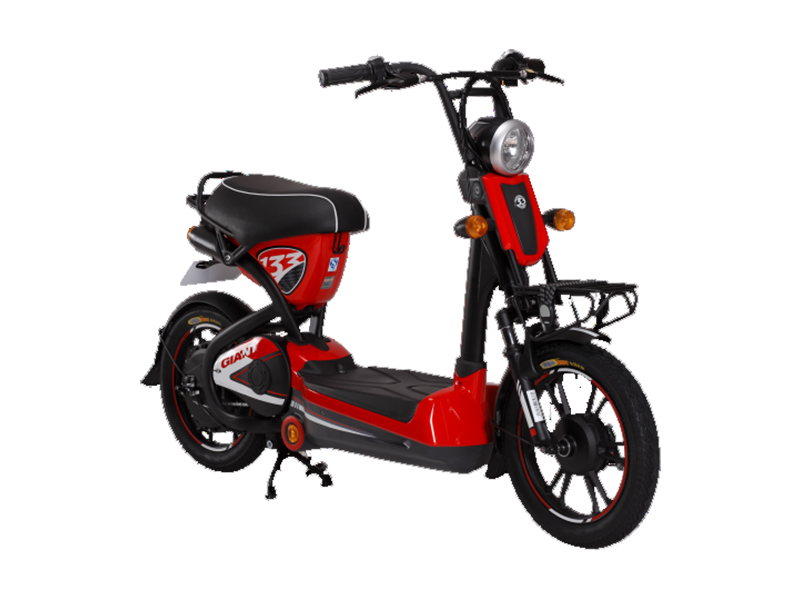 Xe đạp điện Giant tại Tây Ninh tốt nhất Xe đạp điện Giant tại Tây Ninh
