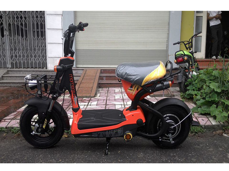 Xe đạp điện Giant tại Tiền Giang uy tín Xe đạp điện Giant tại Tiền Giang