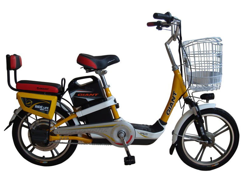 Xe đạp điện Giant tại Ninh Thuận uy tín Xe đạp điện Giant tại Ninh Thuận