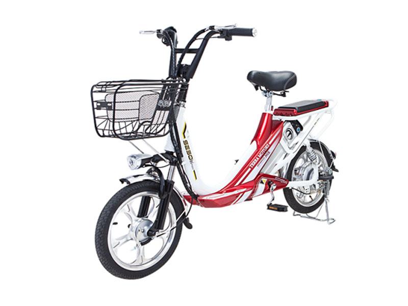 Xe đạp điện Terra Motors tại An Giang giá rẻ Xe đạp điện Terra Motors tại An Giang