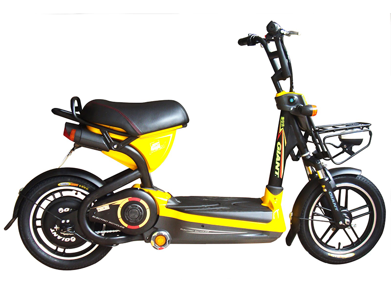 Xe đạp điện Giant tại Thái Nguyên giá rẻ Xe đạp điện Giant tại Thái Nguyên