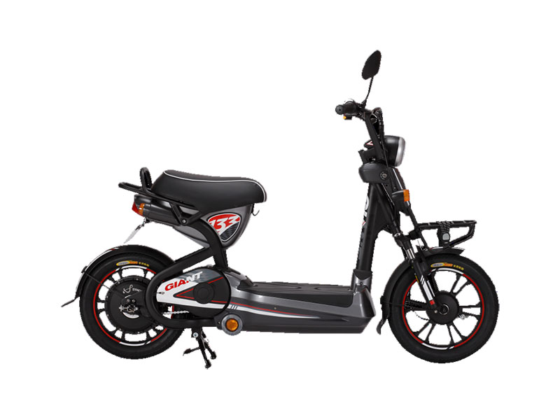 Xe đạp điện Giant tại Cao Bằng tốt nhất Xe đạp điện Giant tại Cao Bằng