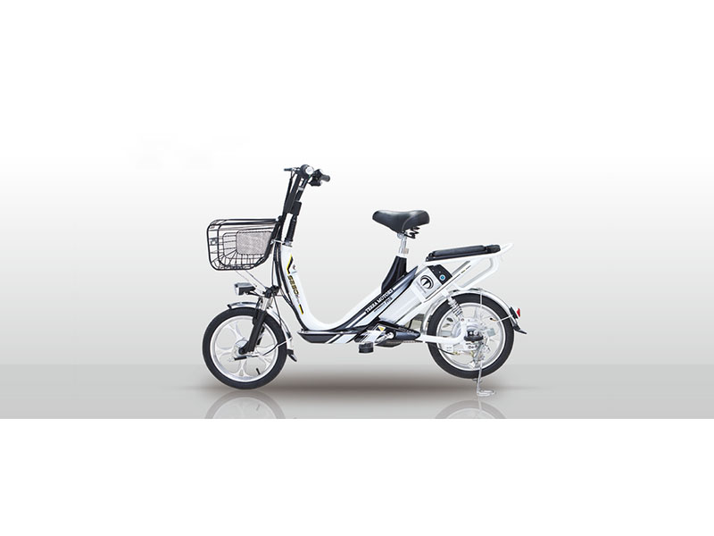 Xe đạp điện Terra Motors tại Bình Thuận giá rẻ Xe đạp điện Terra Motors tại Bình Thuận
