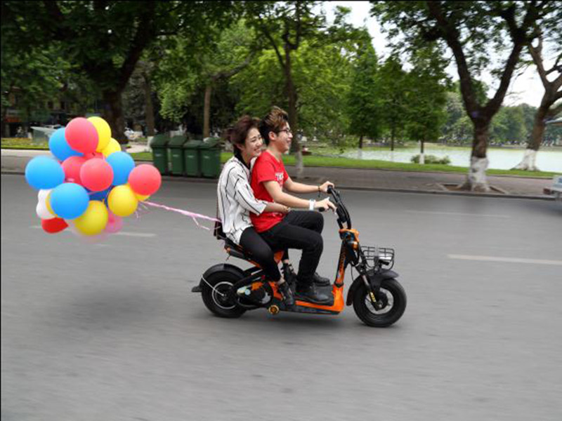 Xe đạp điện Giant tại Hải Phòng uy tín Xe đạp điện Giant tại Hải Phòng