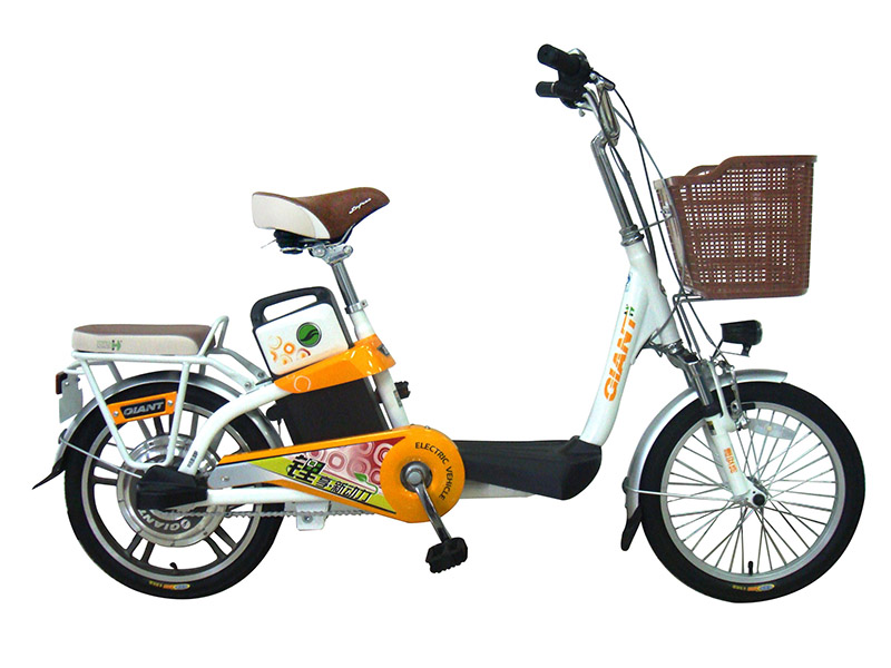 Xe đạp điện Giant tại Hải Phòng giá rẻ Xe đạp điện Giant tại Hải Phòng