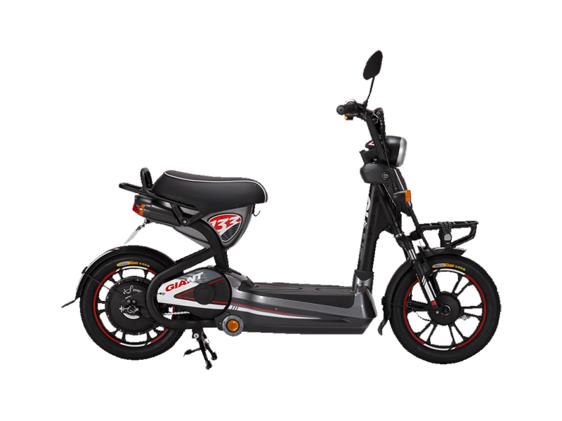 Xe đạp điện Giant tại Hà Nam giá rẻ Xe đạp điện Giant tại Hà Nam