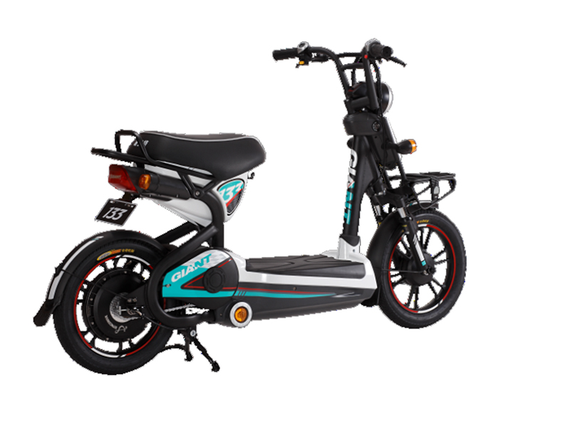 Xe đạp điện Giant tại Hải Dương tốt nhất Xe đạp điện Giant tại Hải Dương