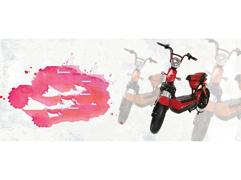 Xe đạp điện Terra Motors tại Lạng Sơn giá rẻ Xe đạp điện Terra Motors tại Lạng Sơn