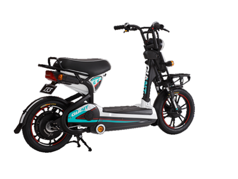 Xe đạp điện Giant tại Bình Định giá rẻ Xe đạp điện Giant tại Bình Định