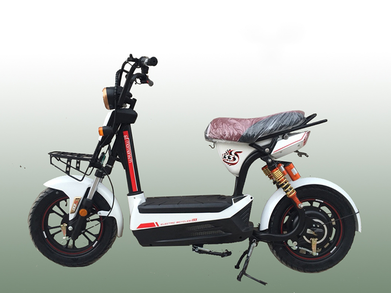 Xe đạp điện Giant tại Lâm Đồng giá rẻ Xe đạp điện Giant tại Lâm Đồng
