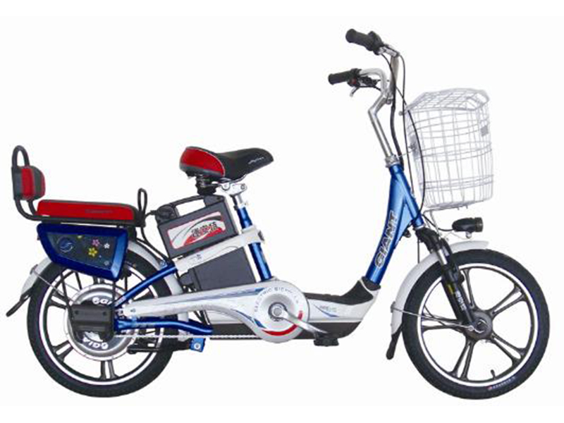 Xe đạp điện Giant tại Quảng Trị tốt nhất Xe đạp điện Giant tại Quảng Trị