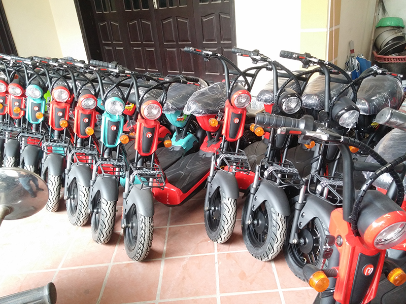 Xe đạp điện Terra Motors tại Hòa Bình uy tín Xe đạp điện Terra Motors tại Hòa Bình