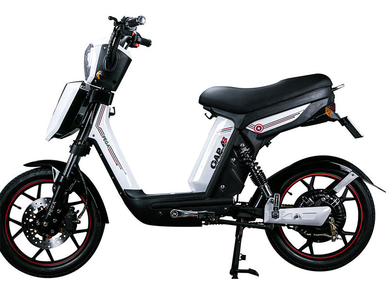 Xe đạp điện pega tại Tiền Giang tốt nhất Xe đạp điện pega tại Tiền Giang