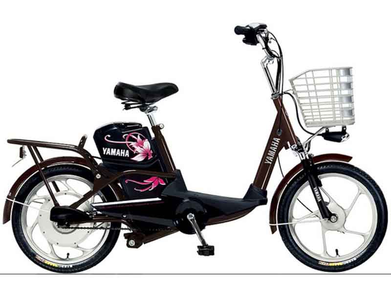 Xe đạp điện Yamaha tại Nam Định uy tín Xe đạp điện Yamaha tại Nam Định