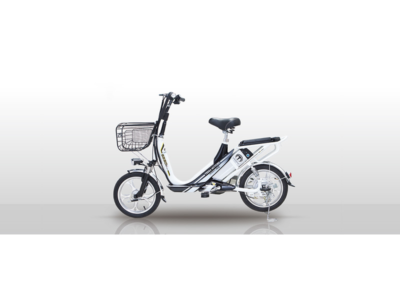 Xe đạp điện Terra Motors tại Hà Nội giá rẻ Xe đạp điện Terra Motors tại Hà Nội