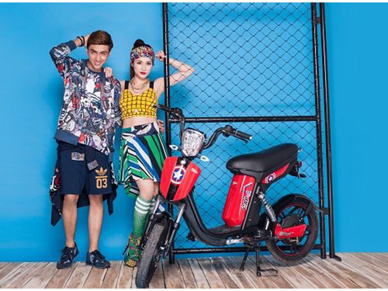 Xe đạp điện pega tại Bắc Giang giá rẻ Xe đạp điện pega tại Bắc Giang