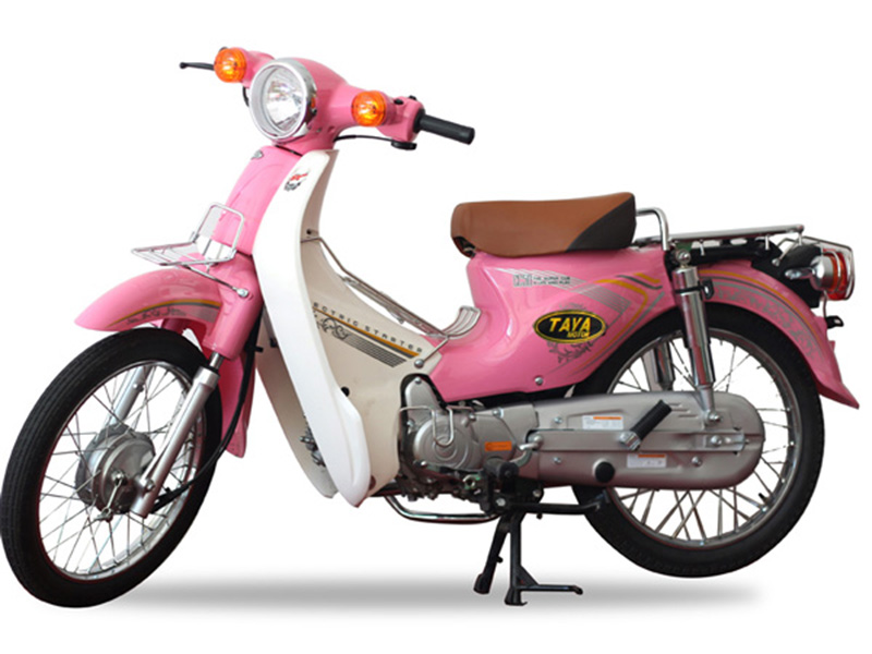 Ắc quy xe Cub Taya tại Bình Thuận giá rẻ Ắc quy xe Cub Taya tại Bình Thuận