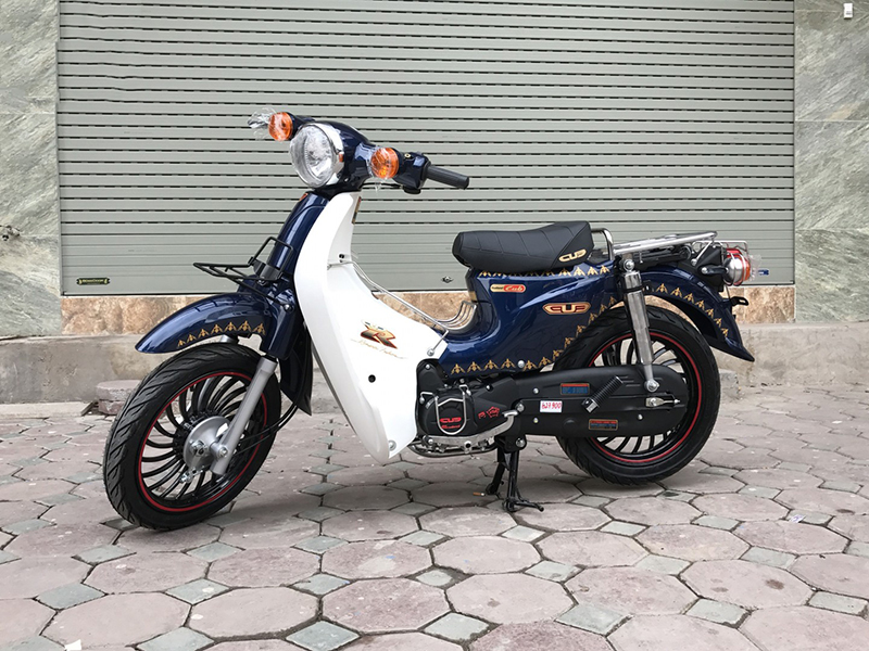 Ắc quy xe cub điện tại Hà Giang tốt nhất Ắc quy xe cub điện tại Hà Giang