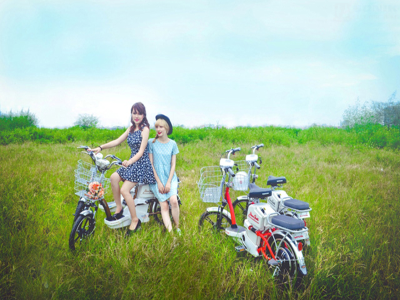 Những mẫu xe đạp điện Vinh uy tín an toàn Những mẫu xe đạp điện Vinh uy tín
