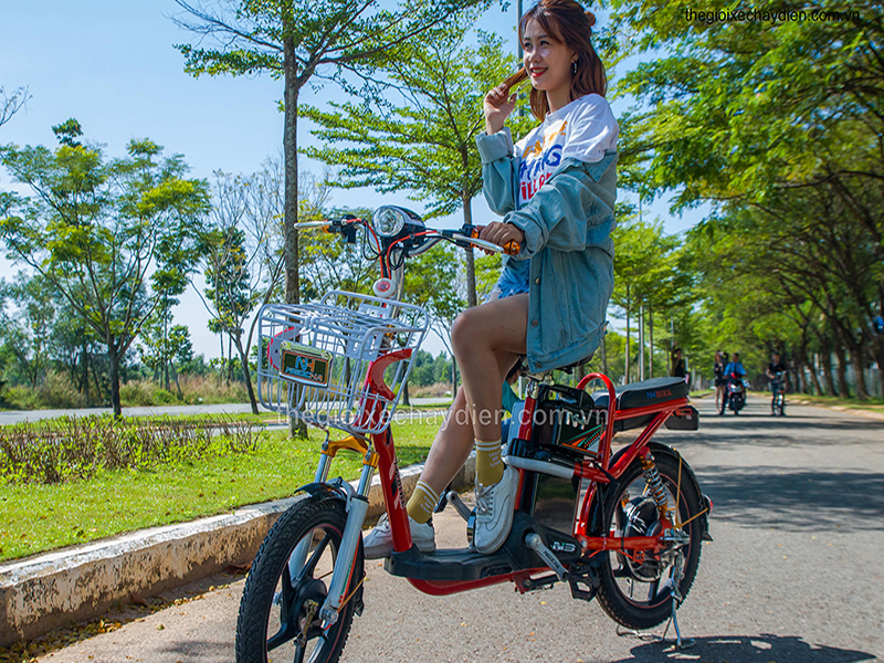 Xe đạp điện Ngọc Hà nhập khẩu Long An