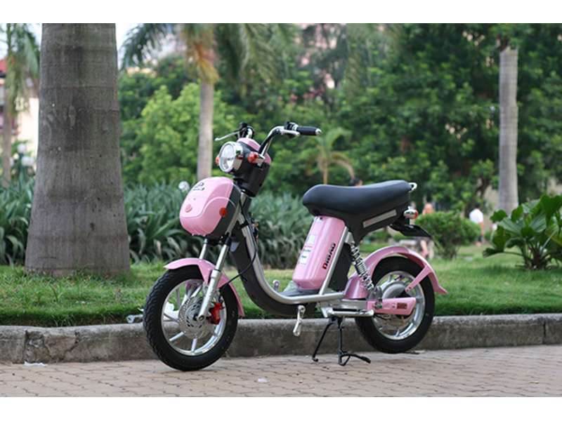 Xe đạp điện Dibao nhập khẩu Cát Tường giá rẻ Xe đạp điện Dibao nhập khẩu Cát Tường