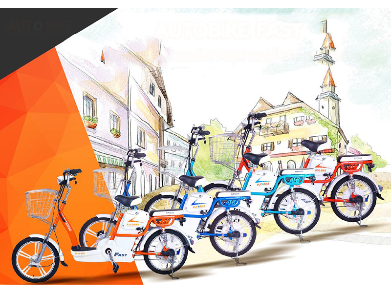 Phụ tùng xe đạp điện Autobike Cát Tường giá rẻ Phụ tùng xe đạp điện Autobike Cát Tường