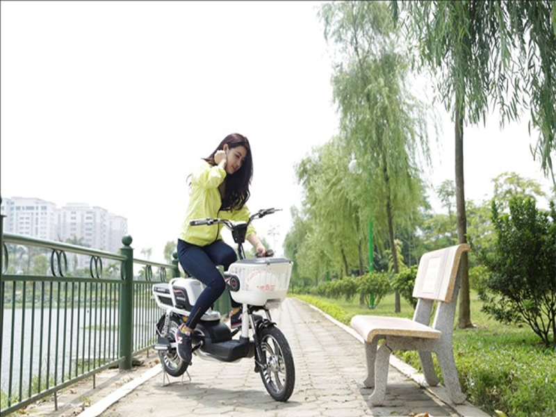 Ắc quy xe đạp điện Ambike Bình Phước đảm bảo Ắc quy xe đạp điện Ambike Bình Phước