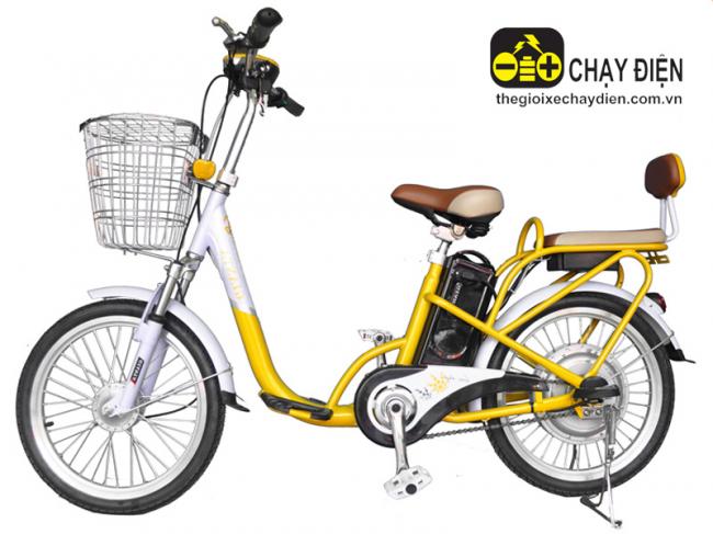 Xe đạp điện Gianya nhập khẩu Long An đảm bảo Xe đạp điện Gianya nhập khẩu Long An