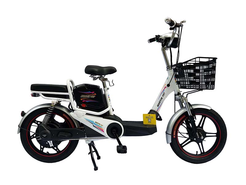 Xe đạp điện Martin nhập khẩu Cầu Giấy 