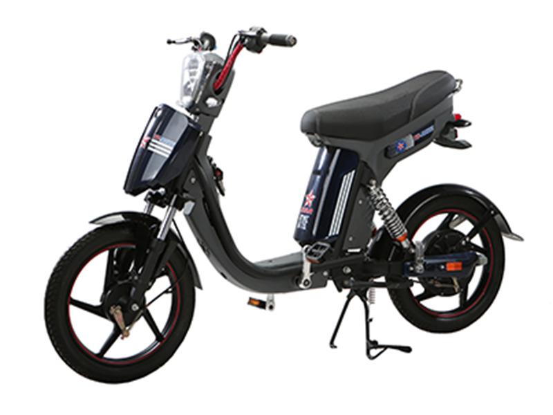 Xe đạp điện Autosun nhập khẩu Thanh Xuân giá rẻ Xe đạp điện Autosun nhập khẩu Thanh Xuân