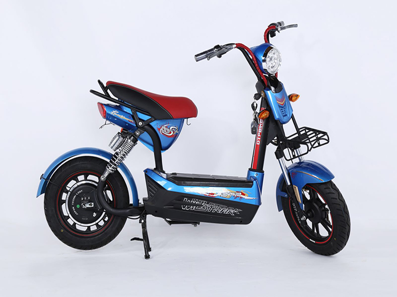 Xe đạp điện DTP nhập khẩu Long Biên 