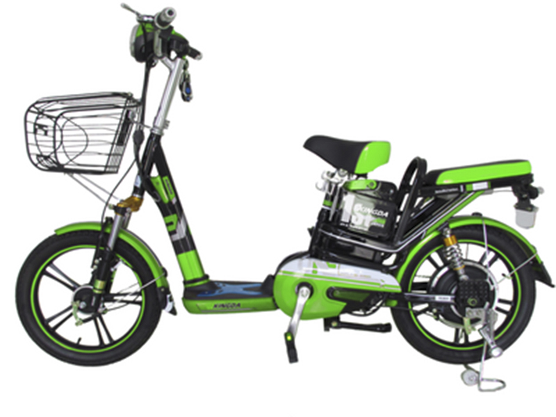 Xe đạp điện Kingda nhập khẩu Bình Thuận 